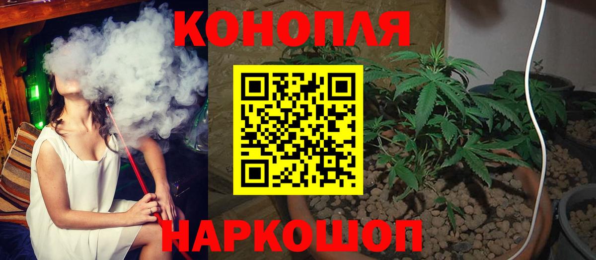 Конопля планчик Коряжма